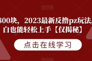 2023最新反撸PZ玩法揭秘，一天轻松赚800块！【仅揭秘】