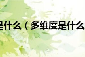 多维度是什么（多维度是什么意思）