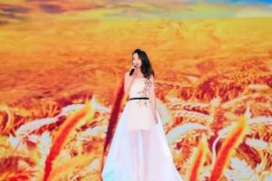 张靓颖为什么叫三环公主(张靓颖三环公主是什么意思)