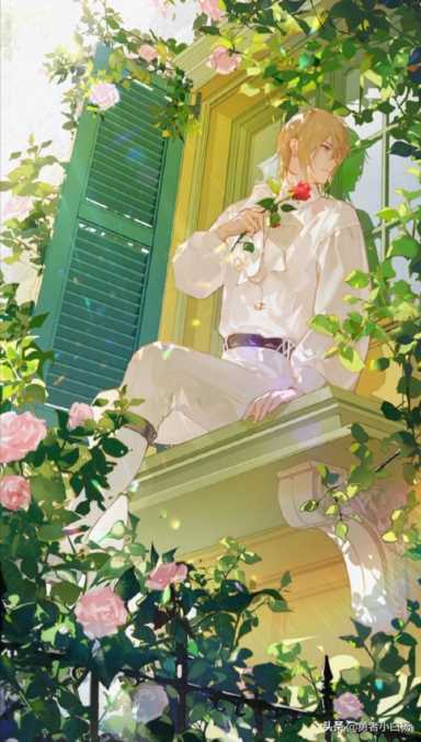 十大必看医生小说排行榜（十大必看医生小说排行榜现代）