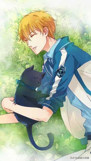 十大必看医生小说排行榜（十大必看医生小说排行榜现代）