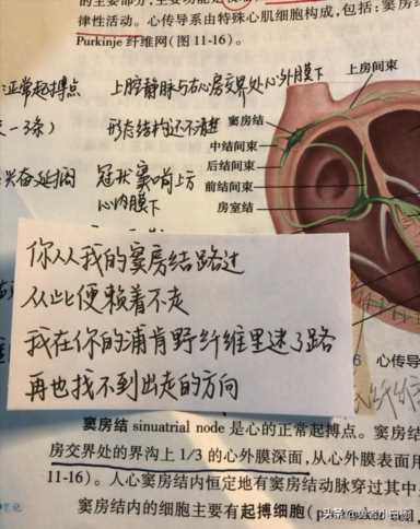 十大必看医生小说排行榜（十大必看医生小说排行榜现代）