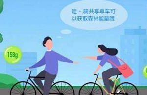 蚂蚁森林合种树的名称如何起名?与个人种树有什么差别?