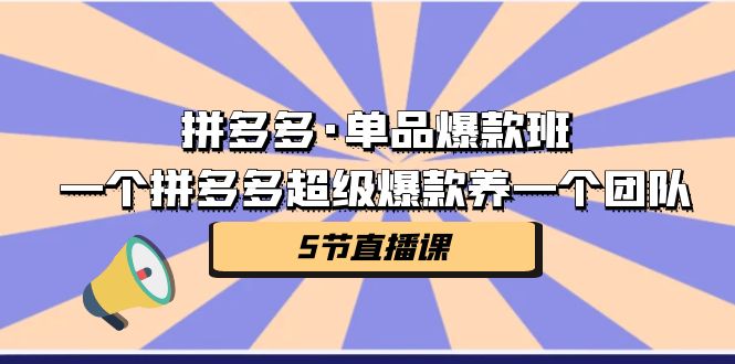 拼多多·单品爆款班,一个拼多多超级爆款养一个团队(5节直播课) 拼多多·单品爆款班,一个拼多多超级爆款养一个团队(5节直播课)