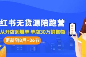 小红书无货源电商: 从0到1，实现爆单赚钱，全方位教程解析（更至8月-36节课）