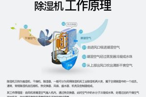 什么牌子除湿机比较好用（除湿机十大品牌排名）