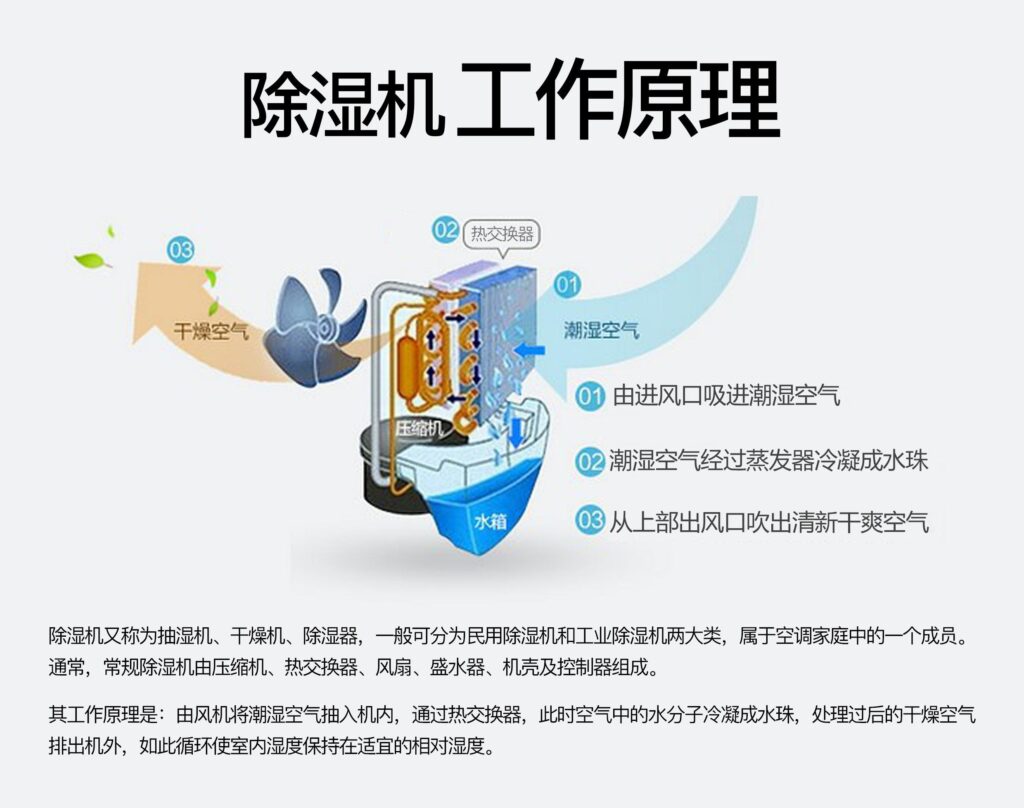 什么牌子除湿机比较好用(除湿机十大品牌排名) 什么牌子除湿机比较好用(除湿机十大品牌排名)