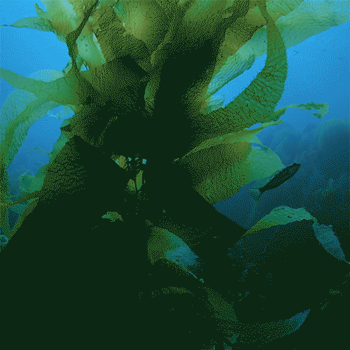 海蓝之谜精粹水好用吗(LaMer精萃水的作用和功效) 海蓝之谜精粹水好用吗(LaMer精萃水的作用和功效)