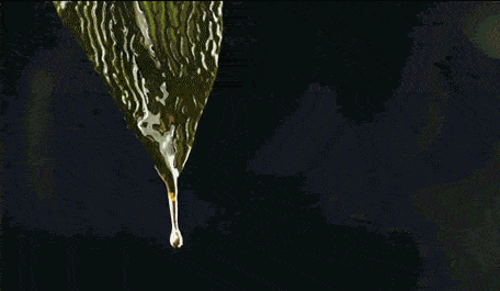 海蓝之谜精粹水好用吗(LaMer精萃水的作用和功效) 海蓝之谜精粹水好用吗(LaMer精萃水的作用和功效)