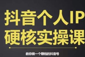 个人IP创富系统，商业定位，流量打造，短视频变现，教你做个赚钱的抖音号