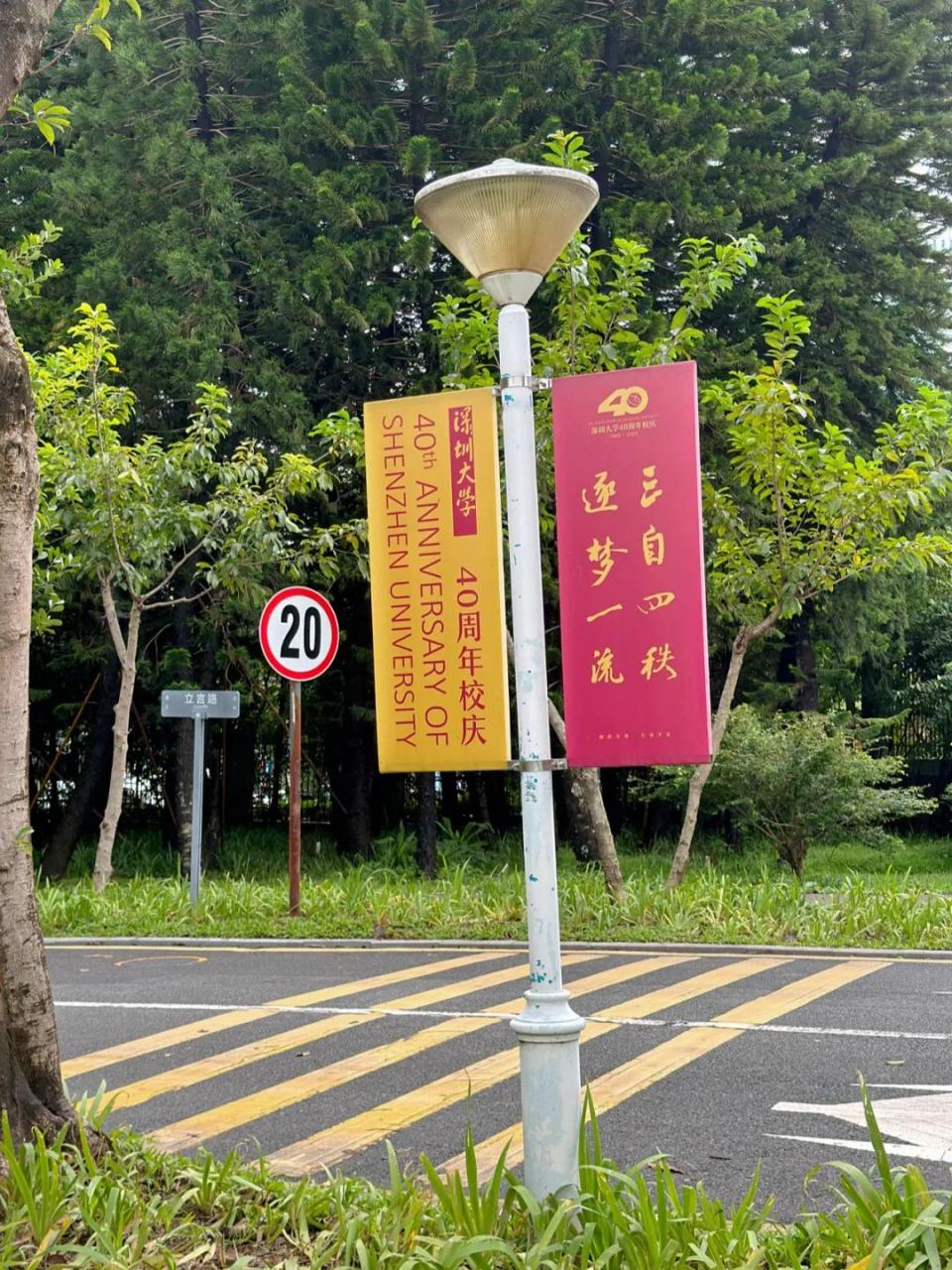 从自由职业中发现的惊喜,让人犹如置身热闹市集 从自由职业中发现的惊喜,让人犹如置身热闹市集