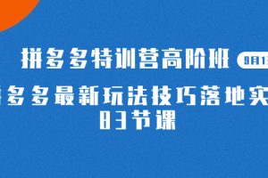 2023拼多多特训营高阶班，带你玩转拼多多技巧！赶快来学习吧！【9月13日更新】