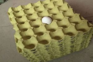 废纸再利用，创业致富新选择！低成本创造高回报，废纸变身环保鸡蛋托！