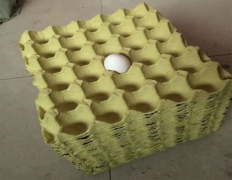 废纸再利用,创业致富新选择!低成本创造高回报,废纸变身环保鸡蛋托! 废纸再利用,创业致富新选择!低成本创造高回报,废纸变身环保鸡蛋托!