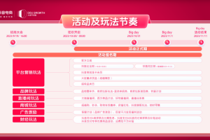 迎战双十一，品牌商家如何玩转抖音电商？