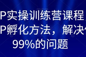 百万IP实操训练营课程，完整的IP孵化方法，解决做号99%的问