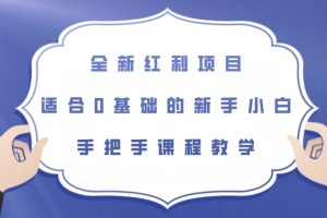全新红利项目，零基础新手也能轻松上手【揭秘】