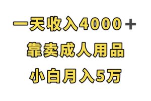 轻松月入5万，靠卖成人用品，一天收入4000+