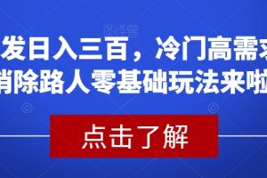 冷门高需求消除路人零基础玩法揭秘！首发稳定日入两三百