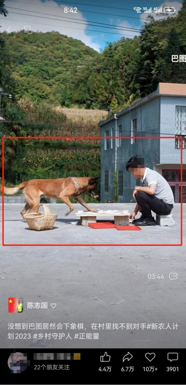 震撼!拍摄宠物、牛等动物视频,每月轻松上万收入 震撼!拍摄宠物、牛等动物视频,每月轻松上万收入