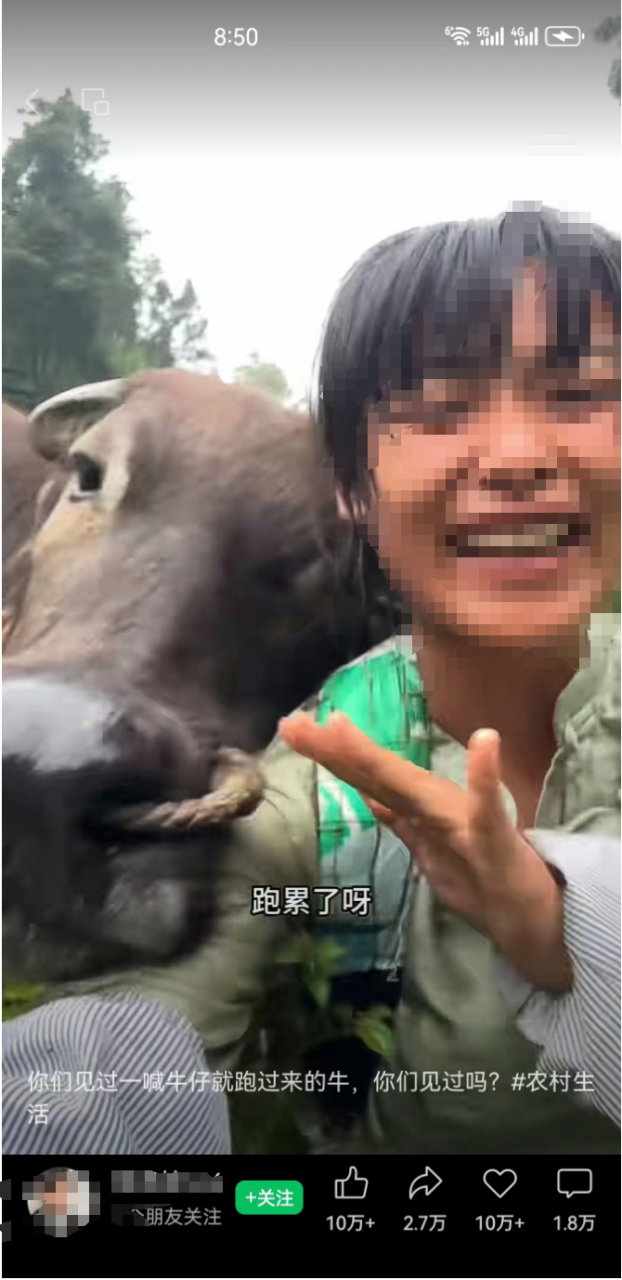 震撼!拍摄宠物、牛等动物视频,每月轻松上万收入 震撼!拍摄宠物、牛等动物视频,每月轻松上万收入