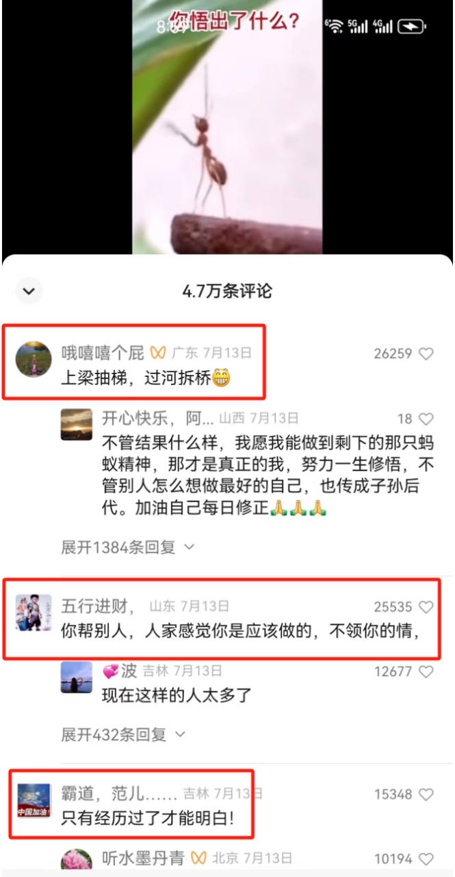 震撼!拍摄宠物、牛等动物视频,每月轻松上万收入 震撼!拍摄宠物、牛等动物视频,每月轻松上万收入
