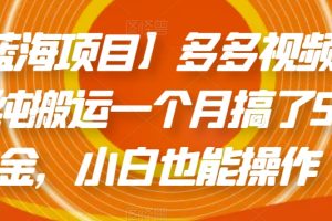 拼多多蓝海项目：多多视频带货，简单操作纯搬运一个月搞了5W佣金【揭秘】