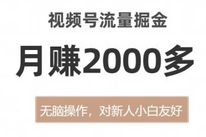 视频号流量变现宝典，无脑操作月赚2000多【揭秘方法】