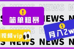 零成本高回报！揭秘全网视频VIP掘金项目，月入2万+