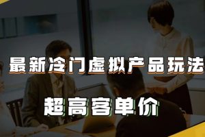 最新冷门虚拟产品玩法，月入2-3万＋，超高客单价让你收入翻倍