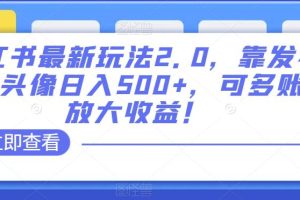 小红书最新玩法2.0：发布精品头像日入500+，多账号放大收益！ 阿灿的头像-阿灿说钱 阿灿（收徒）