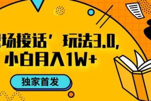职场接话3.0玩法，小白易上手，暴力变现月入1W【揭秘】