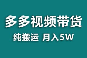 拼多多视频带货项目：纯搬运一个月5w利润，新手也能轻松操作【蓝海项目】