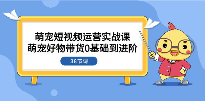 萌宠短视频攻略:从0基础到进阶,带你探索带货奥秘(38节课) 萌宠短视频攻略:从0基础到进阶,带你探索带货奥秘(38节课)