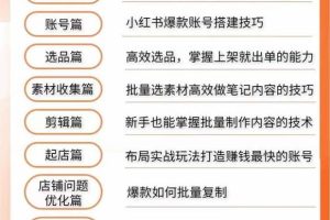 新个体·搞钱-小红书训练营：实战落地运营方法，抓住搞钱方向，每月多搞2w+