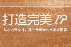 从平凡到闪耀：打造个性化IP，v（15节课）