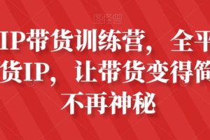 素人IP带货攻略：全平台最强带货IP，让带货变得简单、不再神秘
