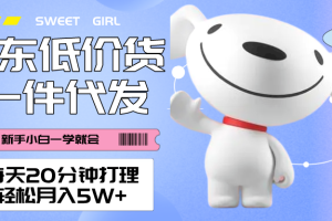 每天20分钟打理京东低价货,一件代发-轻松月入5W＋