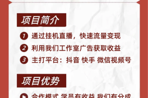 无人放映项目（一天200-600）