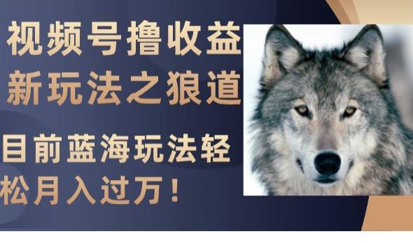 视频号撸收益新玩法之狼道,目前蓝海玩法,轻松月入过万【揭秘】 视频号撸收益新玩法之狼道,目前蓝海玩法,轻松月入过万【揭秘】