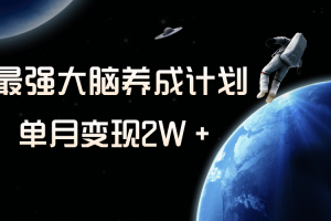 冷门虚拟项目，最强大脑养成计划，一个月变现2W＋