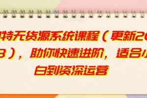 淘特无货源系统课程（2023更新），打造你的互联网运营新起点！