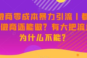 新版微商0成本暴力引流丨都2023了微商还能做？有大把流量，为什么不能？