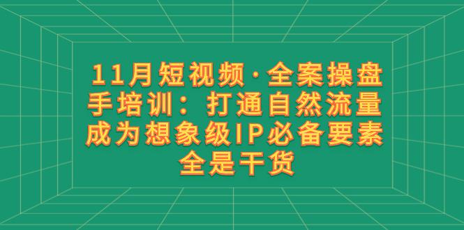 11月短视频·全案操盘手培训:打通自然流量 成为想象级IP必备要素 全是干货 11月短视频·全案操盘手培训:打通自然流量 成为想象级IP必备要素 全是干货