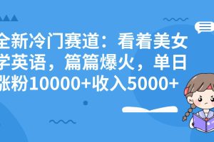 冷门赛道玩法：看着美女学英语，篇篇爆火，单日涨粉10000+收入5000+