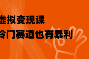 玩转虚拟变现课，冷门赛道也有暴利，手把手教你玩转冷门私域