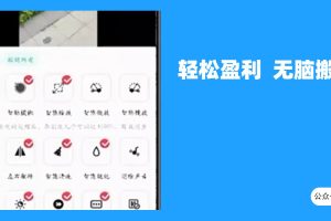 最新蓝海独家玩法，利用软件无脑搬运，小白轻松日入1000＋