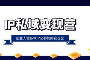 IP私域变现课程：创业人做私域IP必参加的变现教程（22节课）