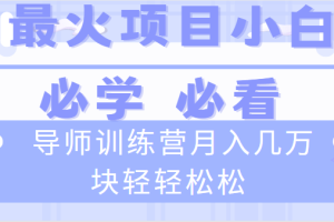 导师训练营互联网最牛逼的项目没有之一，新手小白必学，月入2万+轻轻松松