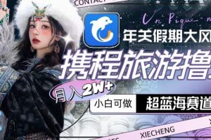 年关新大风口，携程旅游撸金，超蓝海赛道,月入2W+【揭秘】